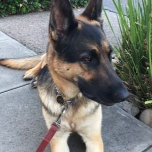 Meet your Posher, Dana